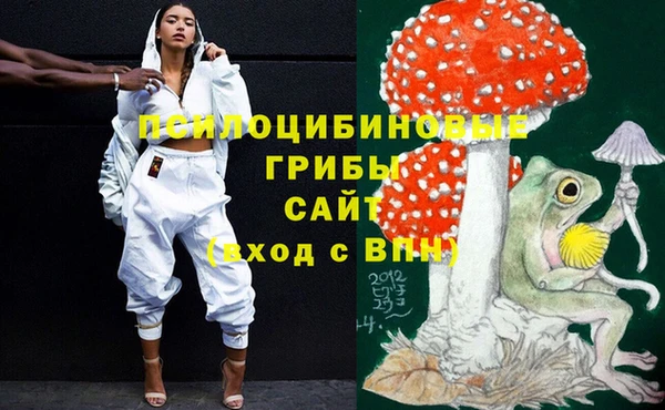 хмурый Вязники